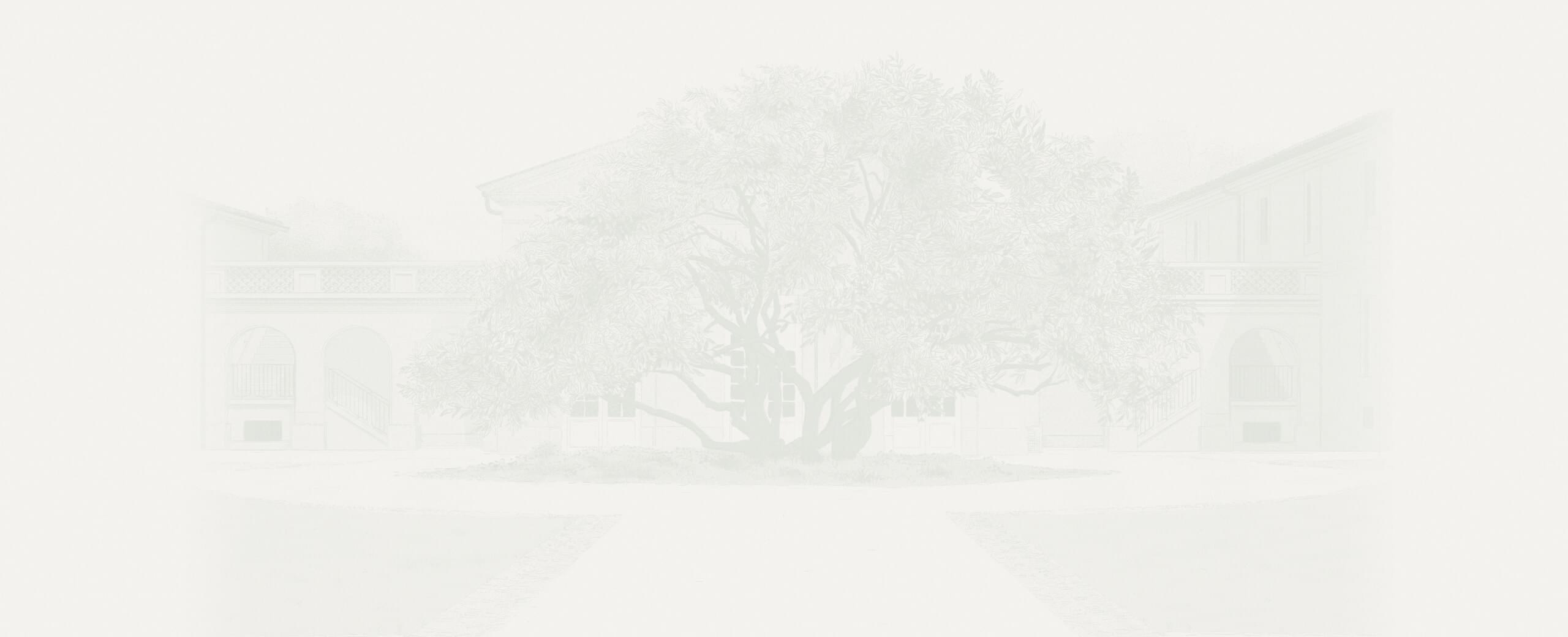 Home - Château d'Armailhac