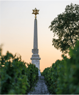 Home - Chateau Armailhac