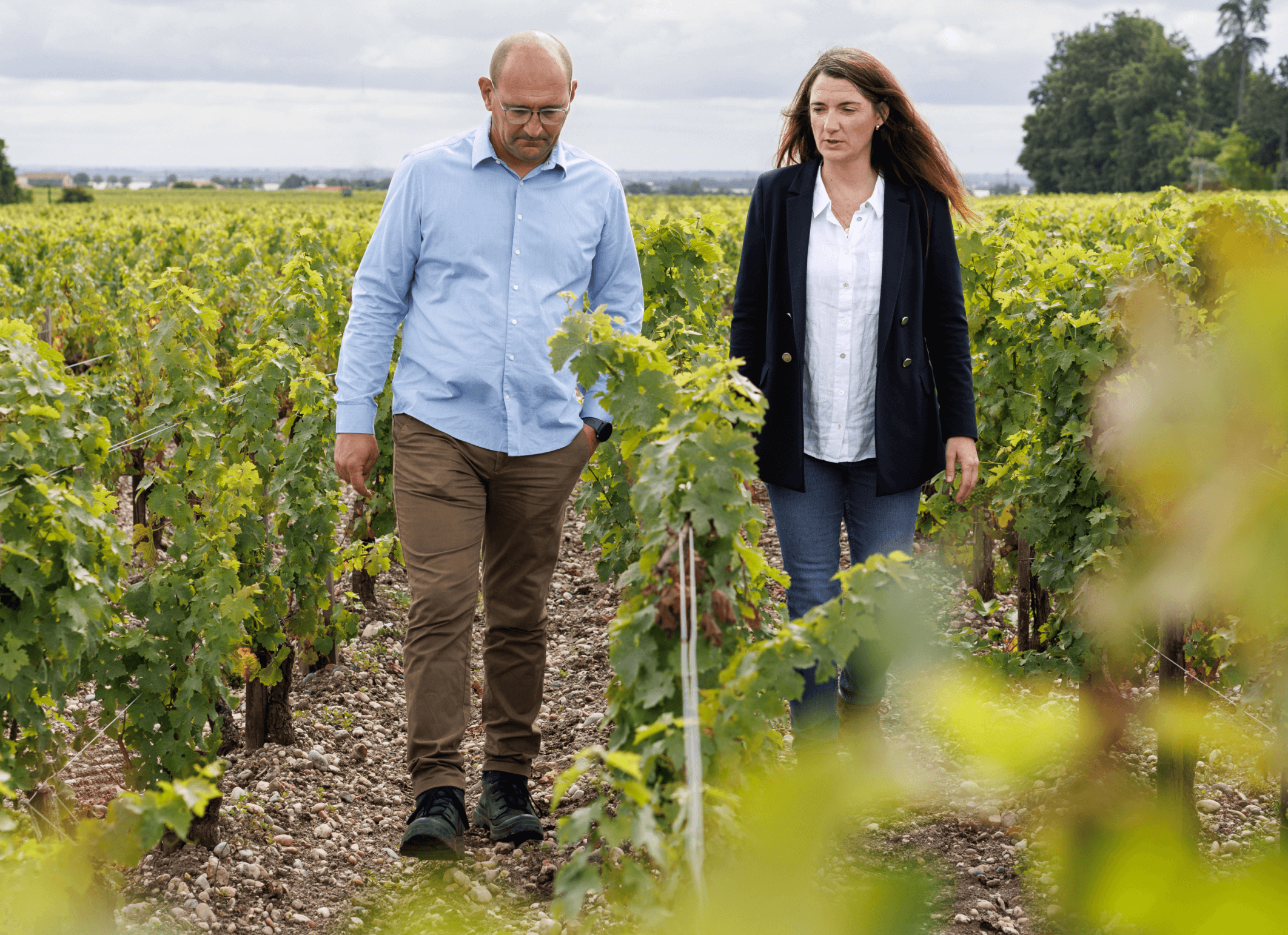 Le terroir - Château d'Armailhac