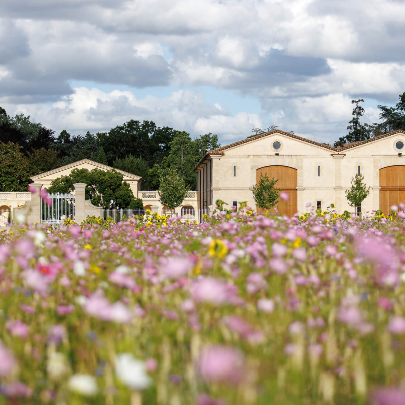 La propriété - Château d'Armailhac