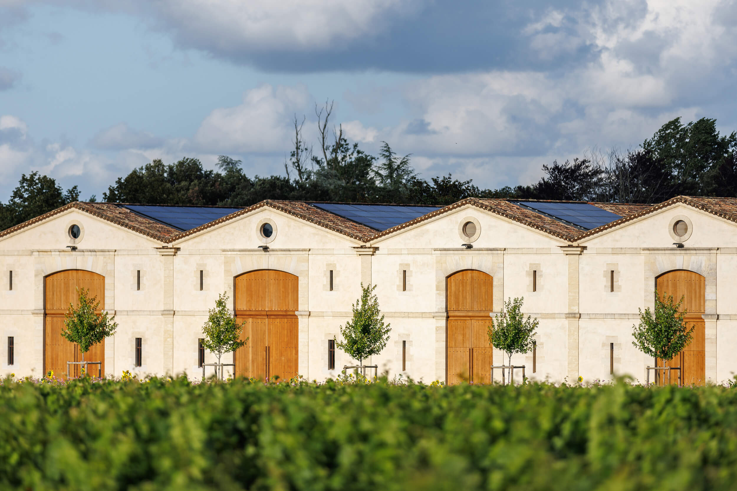 The winery - Château d'Armailhac