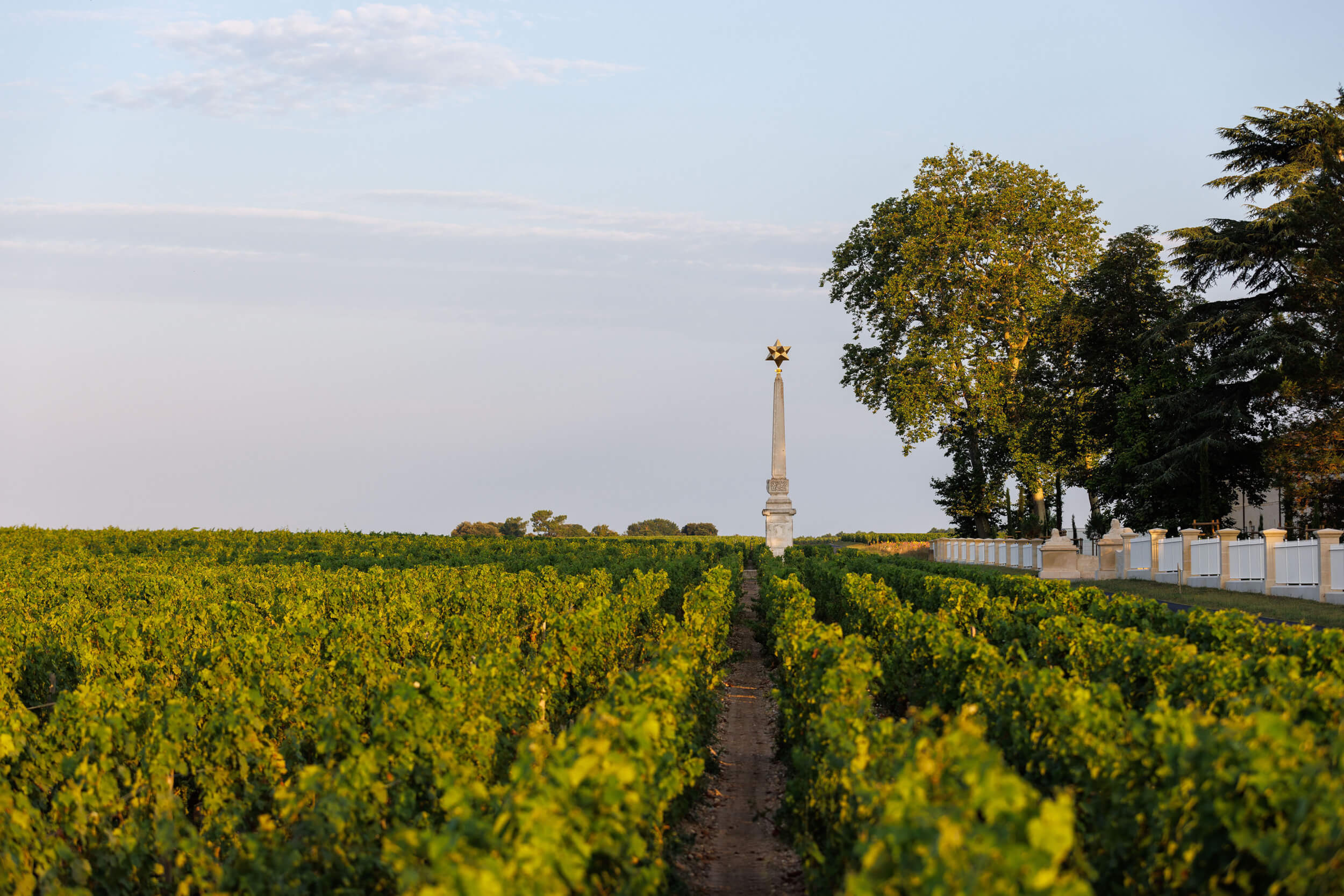 The terroir - Château d'Armailhac