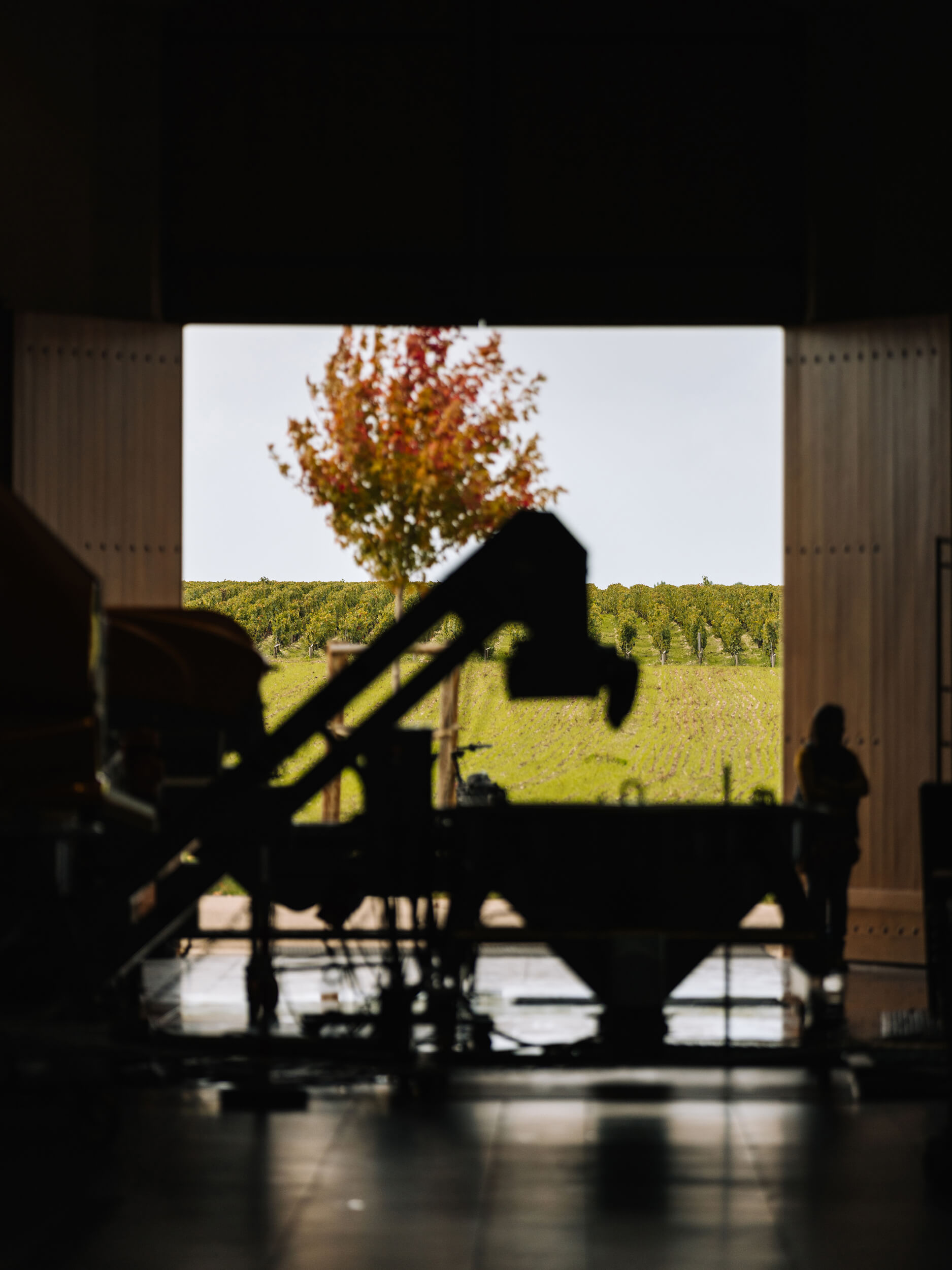 The winery - Château d'Armailhac