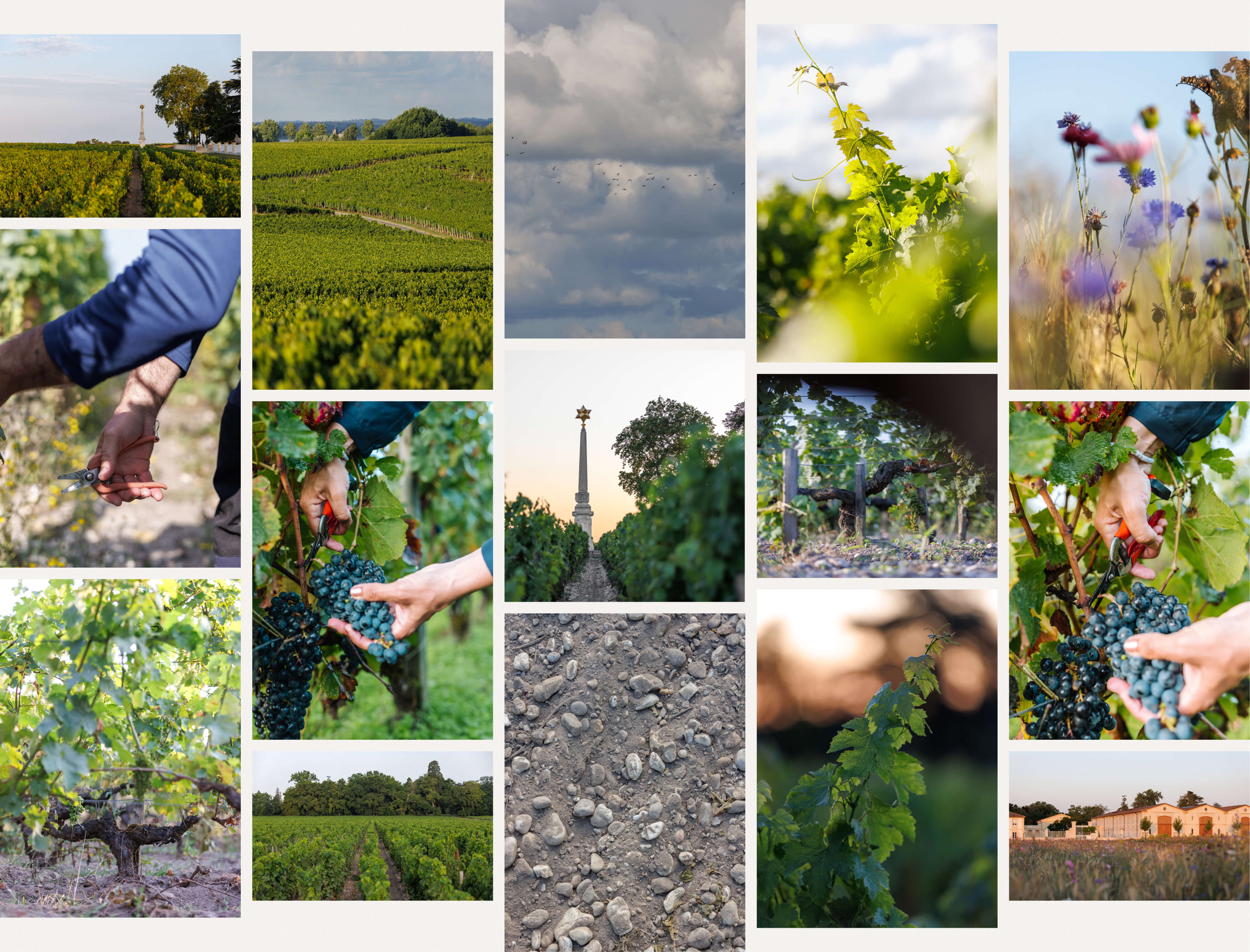 The terroir - Château d'Armailhac
