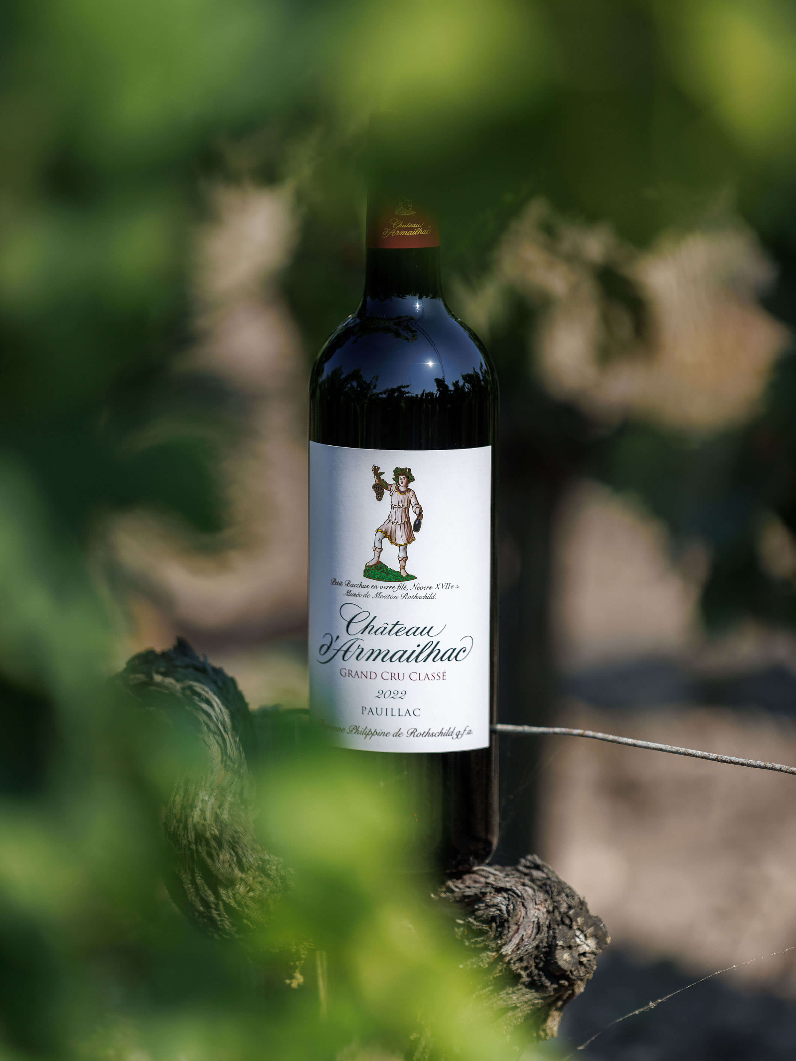 Accueil - Château d'Armailhac