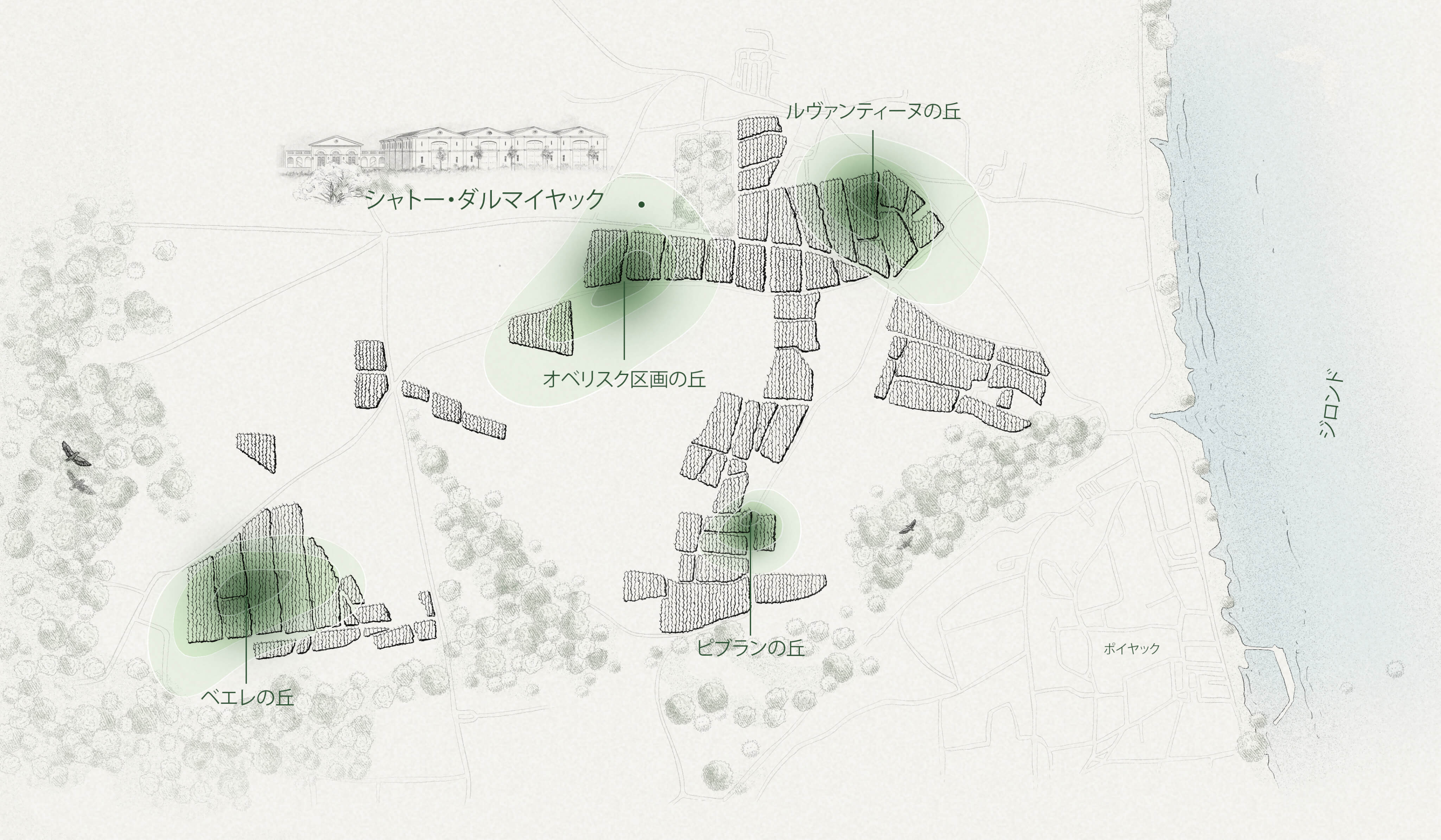 Le terroir JP - Château d'Armailhac